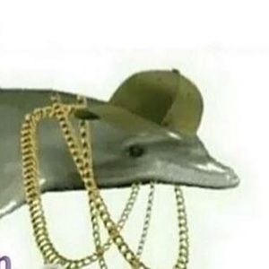 Meet your Posher, Mallory